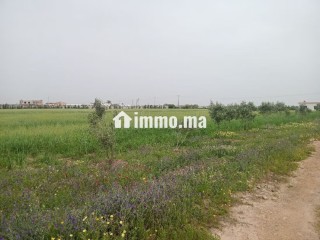 Terrain de 4 hectares à vendre BSABES - Terrain à vendre