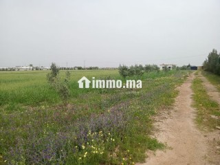 Terrain de 4 hectares à vendre BSABES - Terrain à vendre