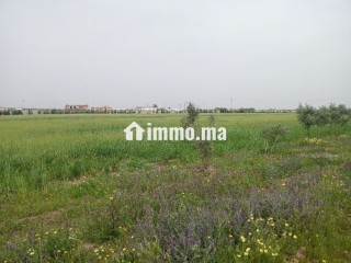Terrain de 4 hectares à vendre BSABES - Terrain à vendre