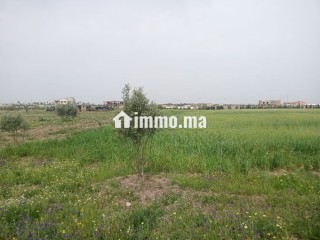 Terrain de 4 hectares à vendre BSABES - Terrain à vendre