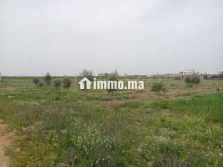 Terrain de 4 hectares à vendre BSABES - Terrain à vendre