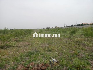 Terrain de 4 hectares à vendre BSABES - Terrain à vendre