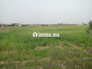 Terrain de 4 hectares à vendre BSABES - Terrain à vendre