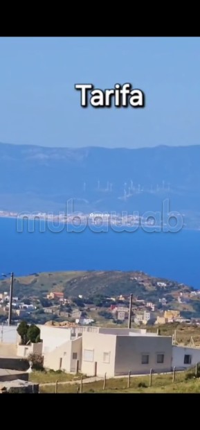 Vue panoramique Baie de Tanger/Espagne/Port - Vente Immobilier - Autre - photo 4