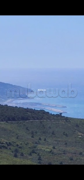 Vue panoramique Baie de Tanger/Espagne/Port - Vente Immobilier - Autre - photo 5