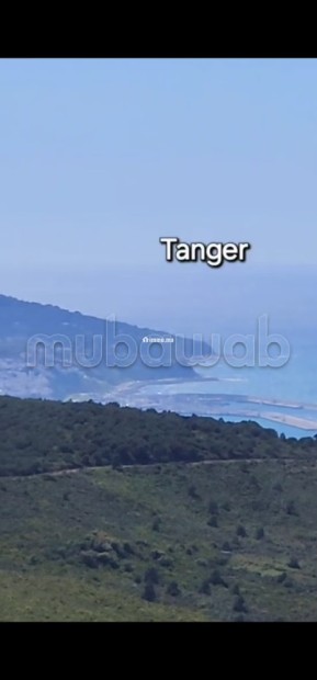 Vue panoramique Baie de Tanger/Espagne/Port - Vente Immobilier - Autre - photo 6
