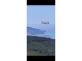 Vue panoramique Baie de Tanger/Espagne/Port - miniature 6