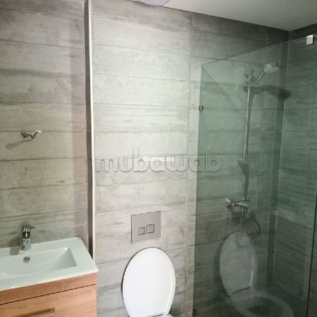 investissement-appartement-loue-a-vendre-au-parc-big-12
