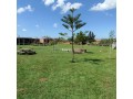 ferme-dun-hectare-a-vendre-small-2