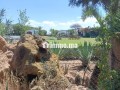 ferme-dun-hectare-a-vendre-small-4