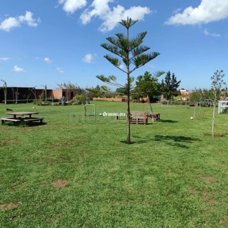 ferme-dun-hectare-a-vendre-big-2