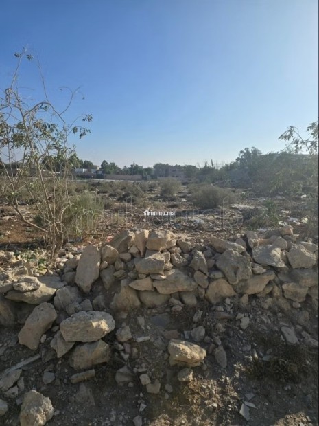 Terrain en vente à Ghazoua. Surface de 1128 m² - Vente Immobilier - Essaouira - photo 1