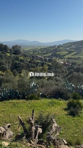 Terrain à vendre - Vente Immobilier - Tanger - photo 1
