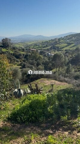 Terrain à vendre - Vente Immobilier - Tanger - photo 2