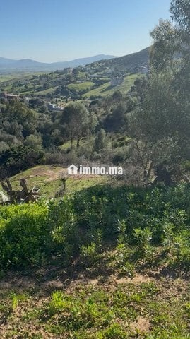 Terrain à vendre - Vente Immobilier - Tanger - photo 3