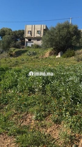 Terrain à vendre - Vente Immobilier - Tanger - photo 4