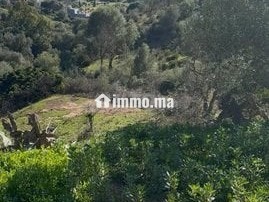 Terrain à vendre - Terrain à vendre - Tanger