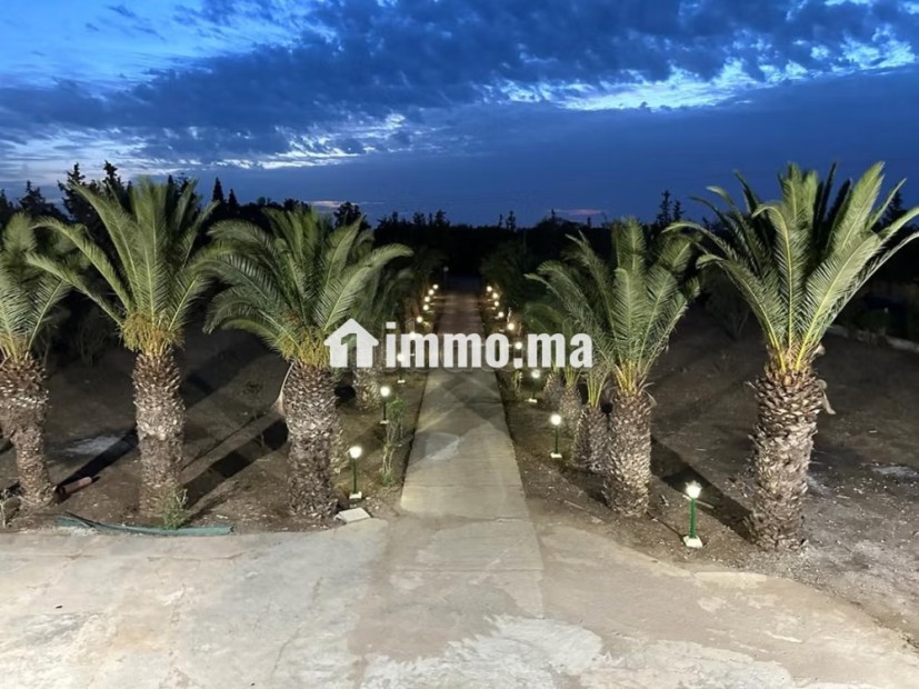_Ferme de 2 H et 2500 m2 à Vendre à Benslimane_ - Vente Immobilier - Benslimane - photo 3