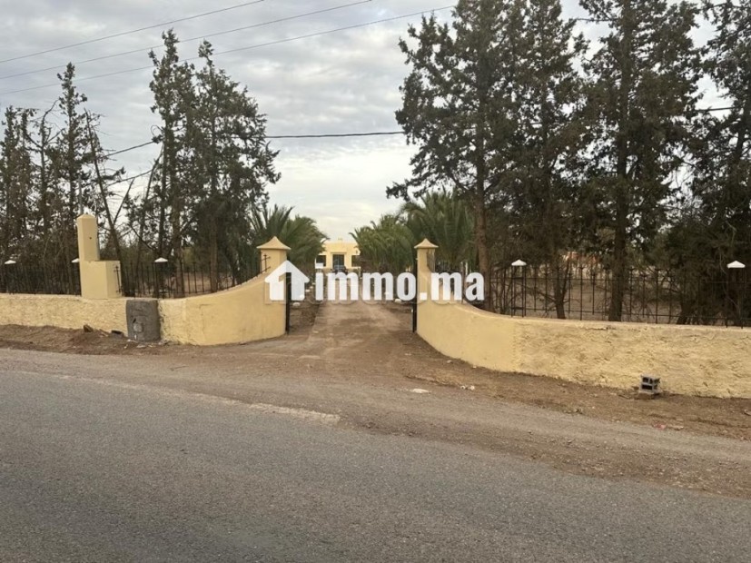 _Ferme de 2 H et 2500 m2 à Vendre à Benslimane_ - Vente Immobilier - Benslimane - photo 6
