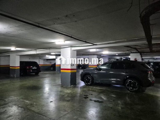 grand-appartement-meuble-quartier-racine-big-13