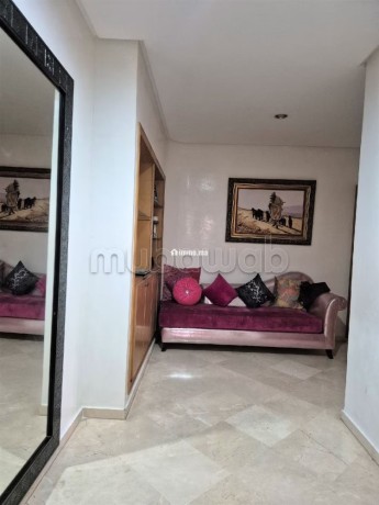 grand-appartement-meuble-quartier-racine-big-8