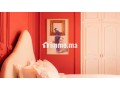 Sublime appartement style haussmanien avec terrasse - miniature 6