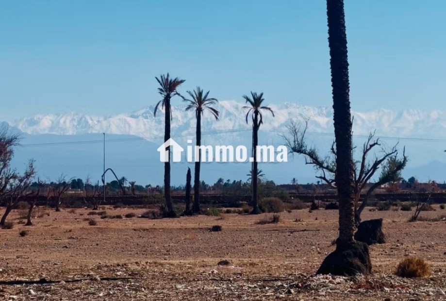 Lots de terrain à la vente Bab Atlas Marrakech - Vente Immobilier - Marrakech - photo 1