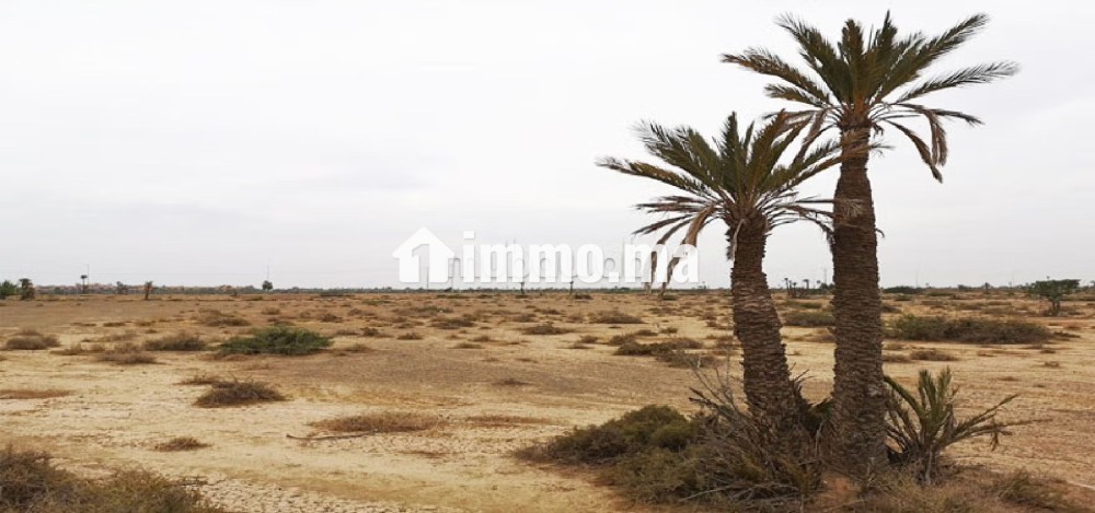 Lots de terrain à la vente Bab Atlas Marrakech - Vente Immobilier - Marrakech - photo 2
