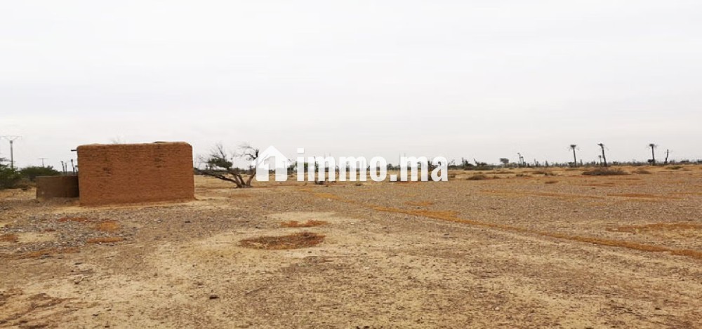Lots de terrain à la vente Bab Atlas Marrakech - Vente Immobilier - Marrakech - photo 3