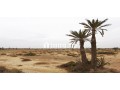 Lots de terrain à la vente Bab Atlas Marrakech - miniature 2