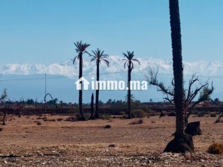 Lots de terrain à la vente Bab Atlas Marrakech - Terrain à vendre - Marrakech