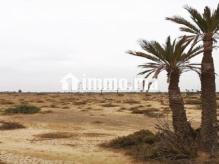 Lots de terrain à la vente Bab Atlas Marrakech - Terrain à vendre - Marrakech
