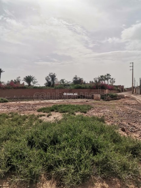 Terrain Titré 2000m² – Route amezmiz - Vente Immobilier - Marrakech - photo 1