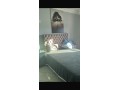 Appartement de lux - miniature 3