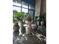 plateau-de-bureau-neuf-a-loasis-small-2