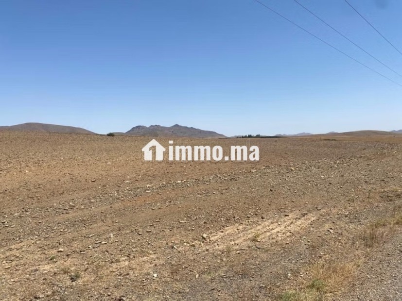 Vente de terrain titré route de sidi bouaatman - Vente Immobilier - Autre - photo 2