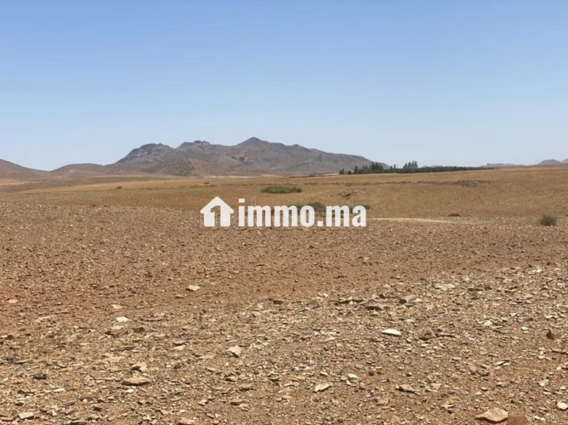Vente de terrain titré route de sidi bouaatman - Vente Immobilier - Autre - photo 3