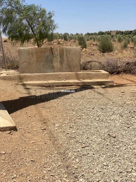 Vente de terrain titré route de sidi bouaatman - Vente Immobilier - Autre - photo 4