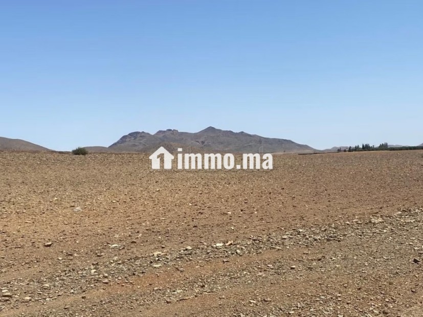 Vente de terrain titré route de sidi bouaatman - Vente Immobilier - Autre - photo 6