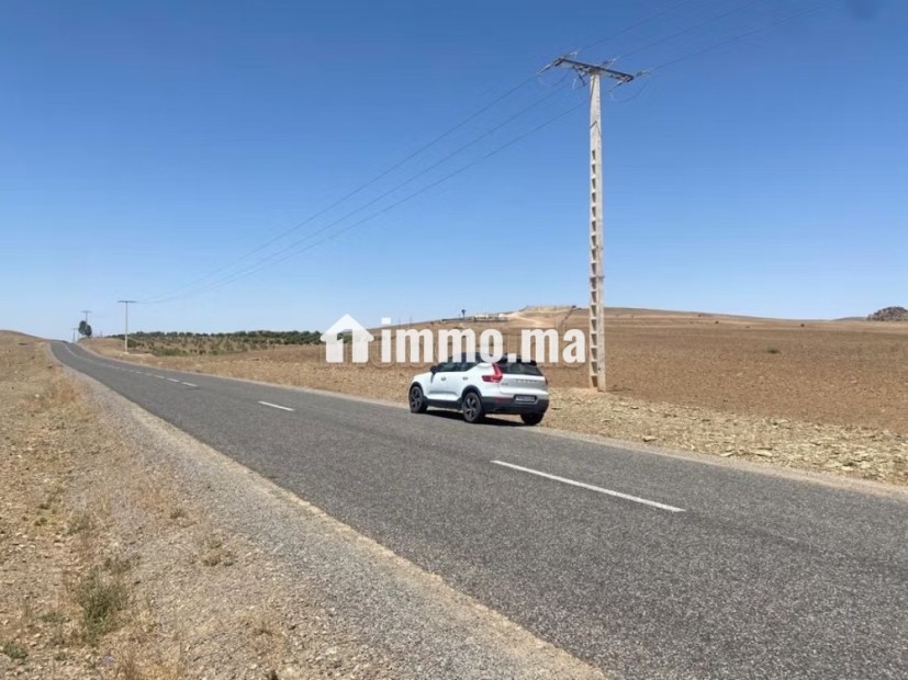 Vente de terrain titré route de sidi bouaatman - Vente Immobilier - Autre - photo 7