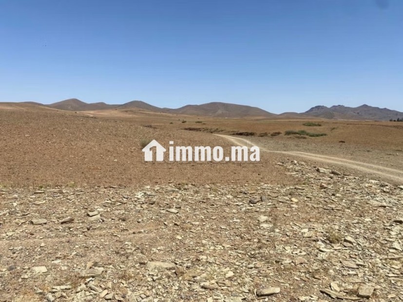 Vente de terrain titré route de sidi bouaatman - Vente Immobilier - Autre - photo 8