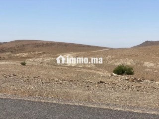 Vente de terrain titré route de sidi bouaatman - Terrain à vendre - Autre