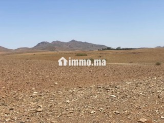 Vente de terrain titré route de sidi bouaatman - Terrain à vendre - Autre