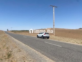 Vente de terrain titré route de sidi bouaatman - Terrain à vendre - Autre