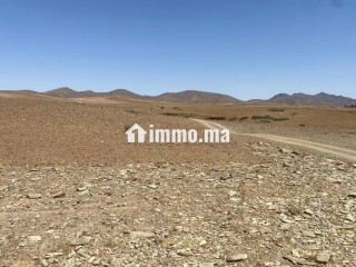 Vente de terrain titré route de sidi bouaatman - Terrain à vendre - Autre