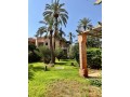 Palmeraie: Appartement 3 Chs 208 m2 avec jardin - miniature 4