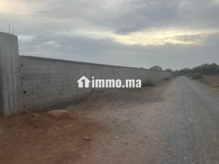 Vente villa de luxe à Tamazouzte. 5 chambres. Espaces verts et ascenseur - Villa à vendre - Autre