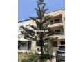 Appartement hay almatar - miniature 7