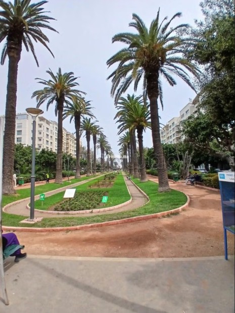 Palmier. École molière. Appartement 230m2. Terrasse 70m2. Location Meublé - Location Immobilier - Casablanca - photo 1