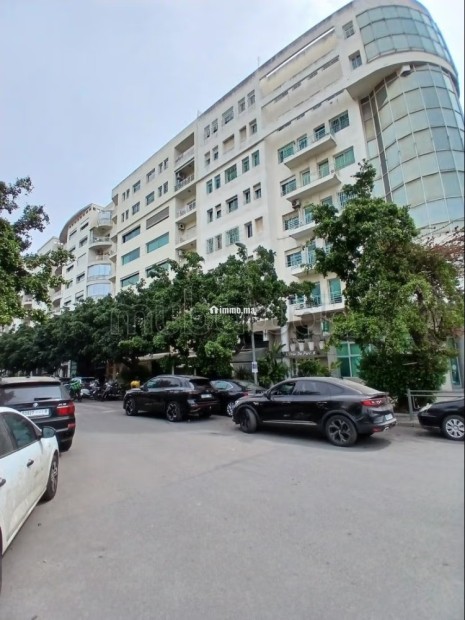 Palmier. École molière. Appartement 230m2. Terrasse 70m2. Location Meublé - Location Immobilier - Casablanca - photo 2
